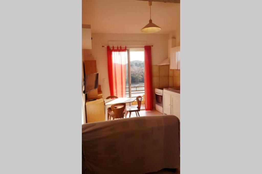 Joli Appartement, Terrasse Plein Sud Roquebrun 外观 照片